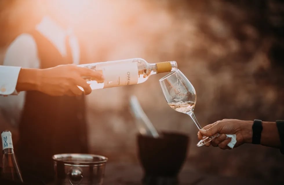 El vino se puede disfrutar todo el año, pero cuál es la recomendación para el verano.