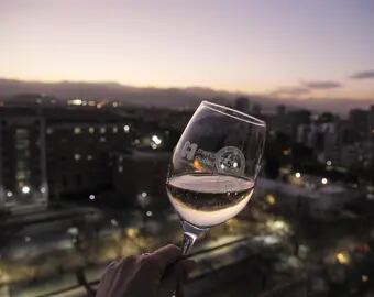 Ciudad de Mendoza, Capital Internacional del Vino