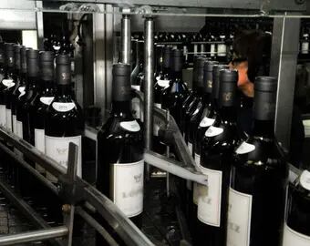 Los precios de venta de vino y exportaciones arrancaron con llamado de atención. Archivo / Los Andes