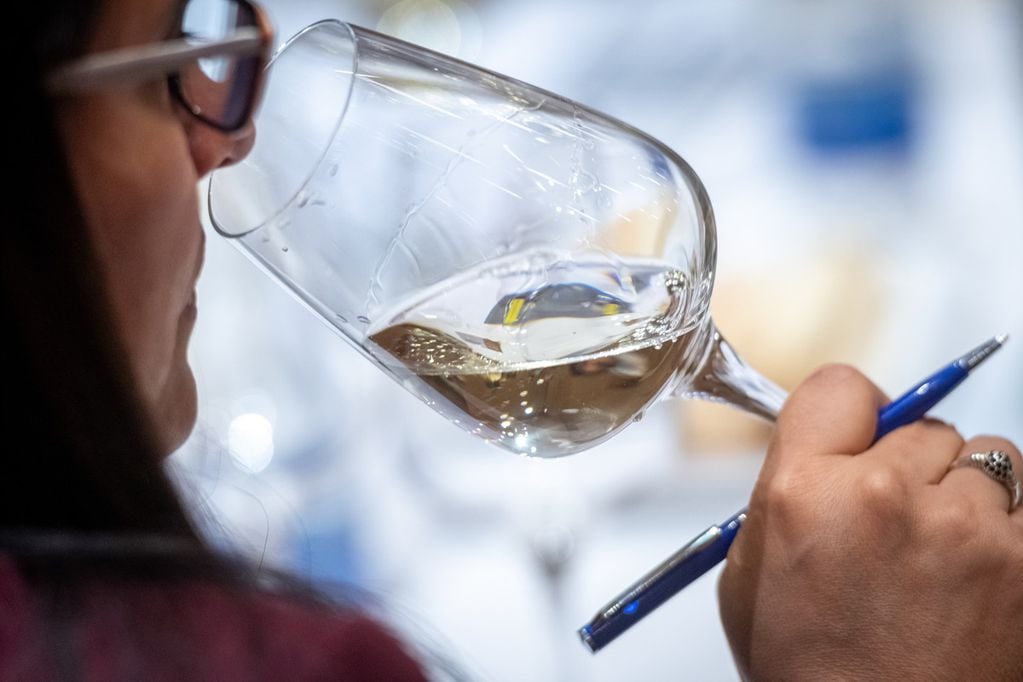La dosis moderada de vino es una copa por día para mujeres y dos para hombres en promedio. Foto: Ignacio Blanco / Los Andes