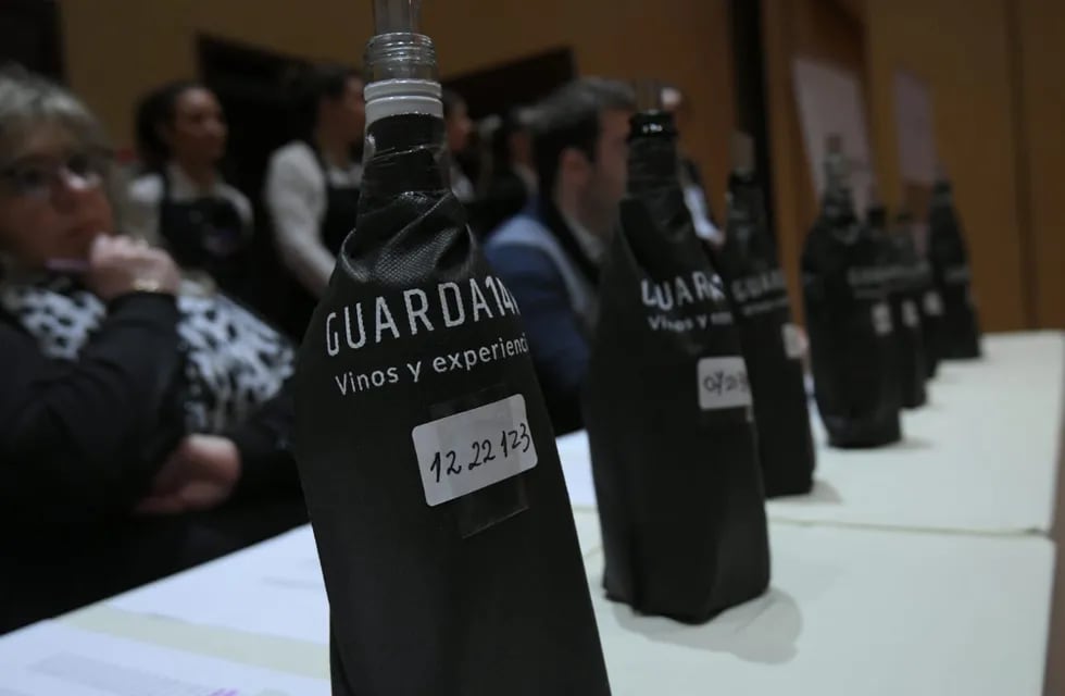 Más de 250 muestras de alrededor de 130 bodegas participaron de la primera edición del Concurso Nacional de Vinos Guarda14. - Ignacio Blanco / Los Andes