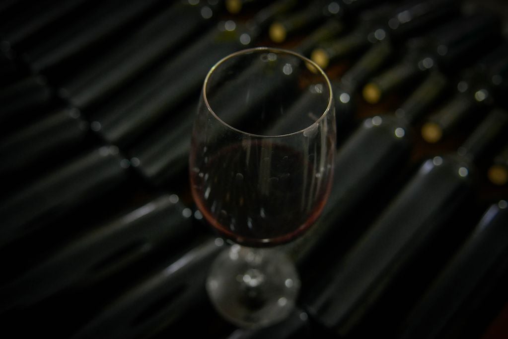 La lista de vinos por menos de mil pesos se achica cada vez más y hay que ser inteligentes para elegir la mejor opción. (Foto: Orlando Pelichotti)