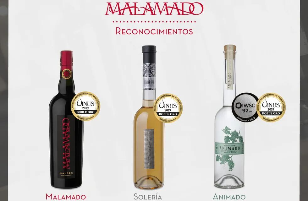 Una línea de vinos multipremiada en Mendoza y el mundo
