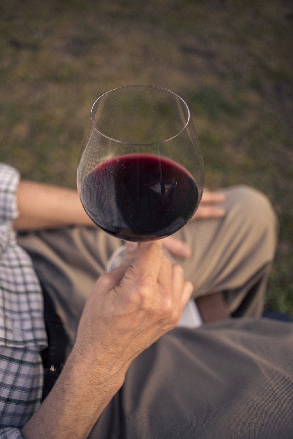 Conocer de vinos, los datos claves a tener en cuenta.