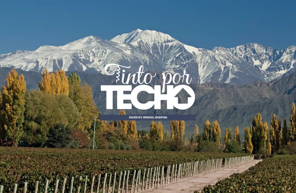 Almuerzo solidario: llega a Mendoza, la segunda edición de “Tinto por Techo”