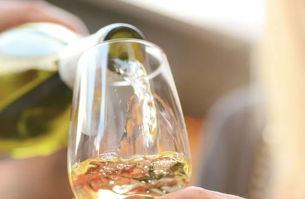 El vino Torrontés tiene su semana y se celebra con un sinfín de actividades.