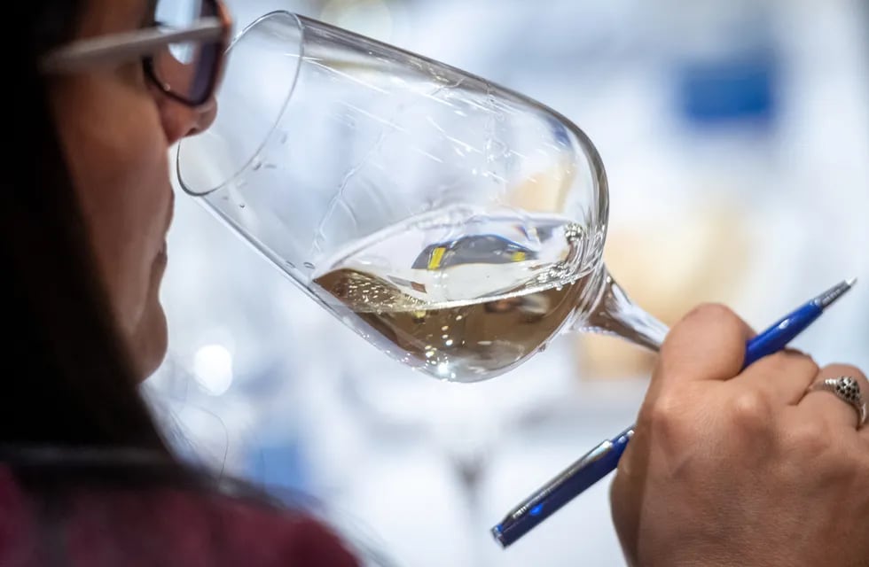 El Chardonnay fue el varietal blanco premiado en el Concurso Nacional de Vinos Guarda14. - Ignacio Blanco / Los Andes