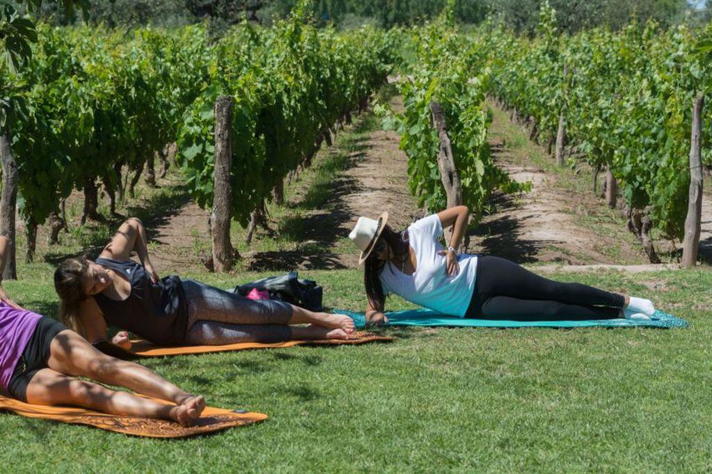 El programa Yoga por los Caminos del Vino vuelve readaptado a la situación actual que se vive por la pandemia.  