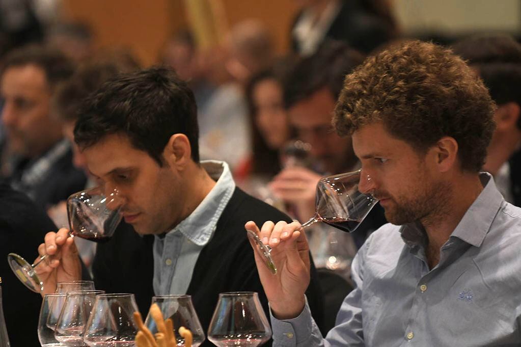 El consumo moderado de vino puede tener importantes beneficios para la salud. - Marcelo Rolland / Los Andes