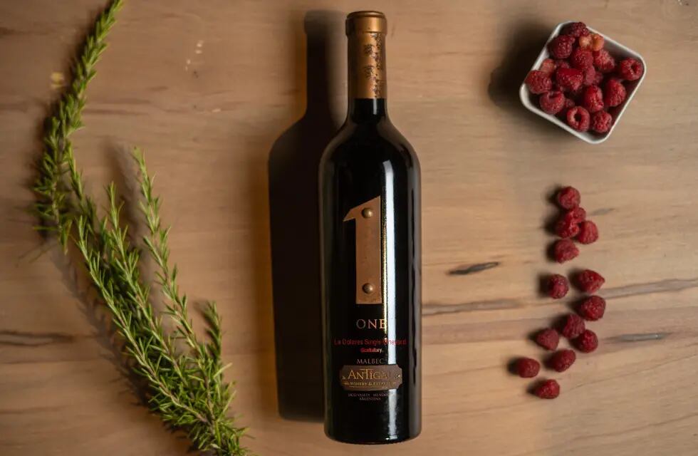 Los mejores Malbecs del país fueron elegidos por los expertos en el Concurso Nacional de Vinos Guarda14.