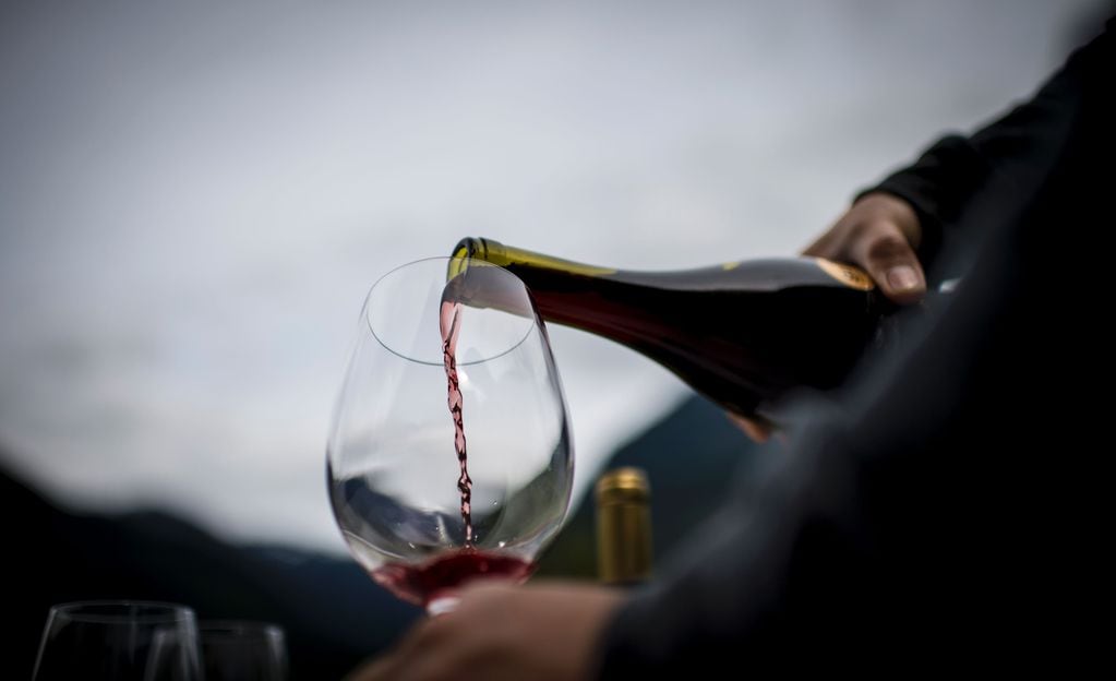 Los vinos sin alcohol son sometidos a un proceso de desalcoholización. 