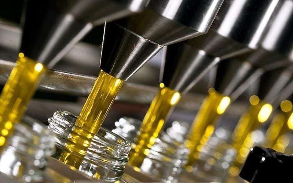 Producción de aceite de oliva. Imagen ilustrativa. 