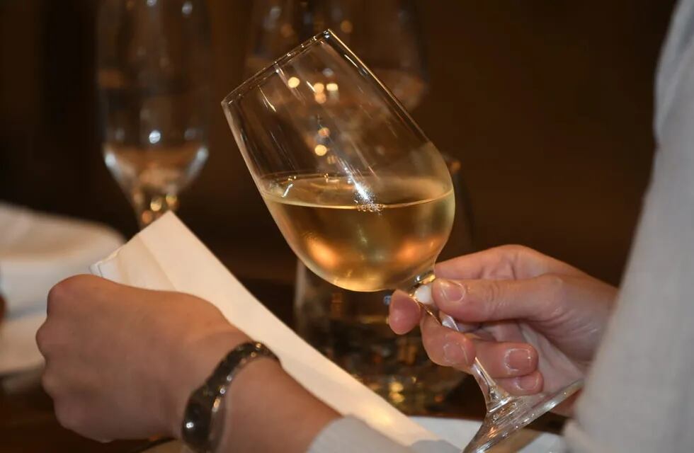Tener el vino en la temperatura ideal nos ayudará a disfrutar al máximo el vino. - José Gutiérrez / Los Andes