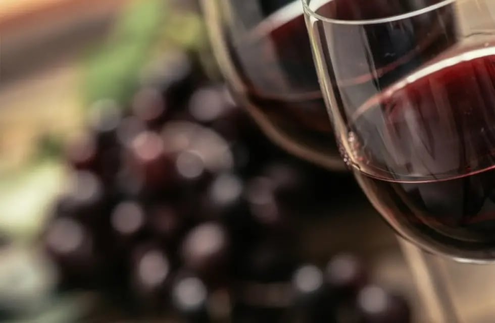 La ciencia determinó cuál es el mejor maridaje para el vino tinto. - Imagen ilustrativa