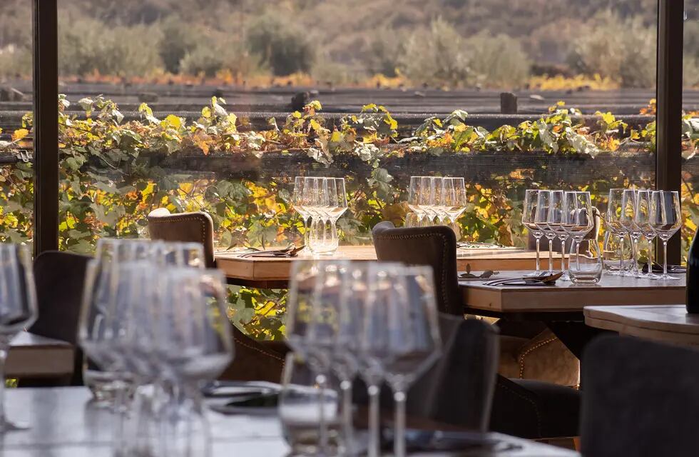 Best Of Mendoza’s Wine Tourism 2024: cuáles son los restaurantes ganadores y cuánto cuesta disfrutar la experiencia gastronómica.