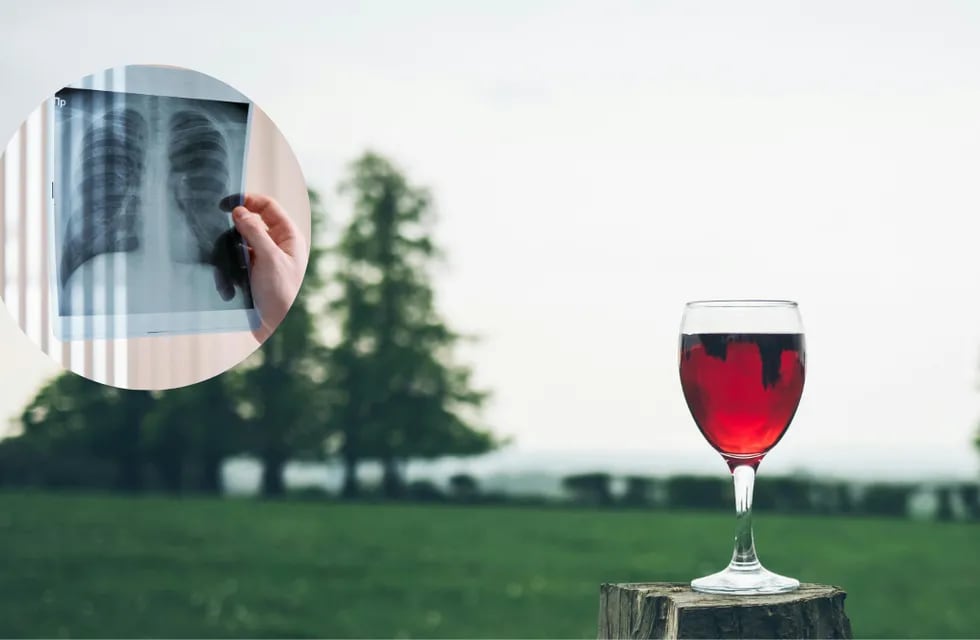 Este es el compuesto del vino que beneficia a nuestros pulmones.