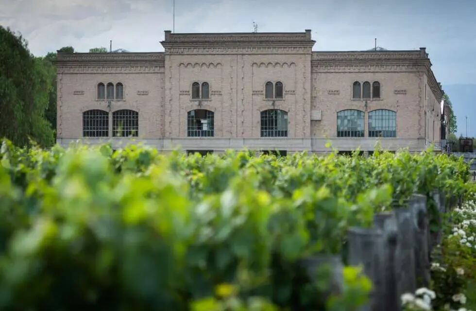 Trapiche y sus Malbecs son uno de los íconos de la vitivinicultura argentina. - Foto: Ignacio Blanco / Los Andes