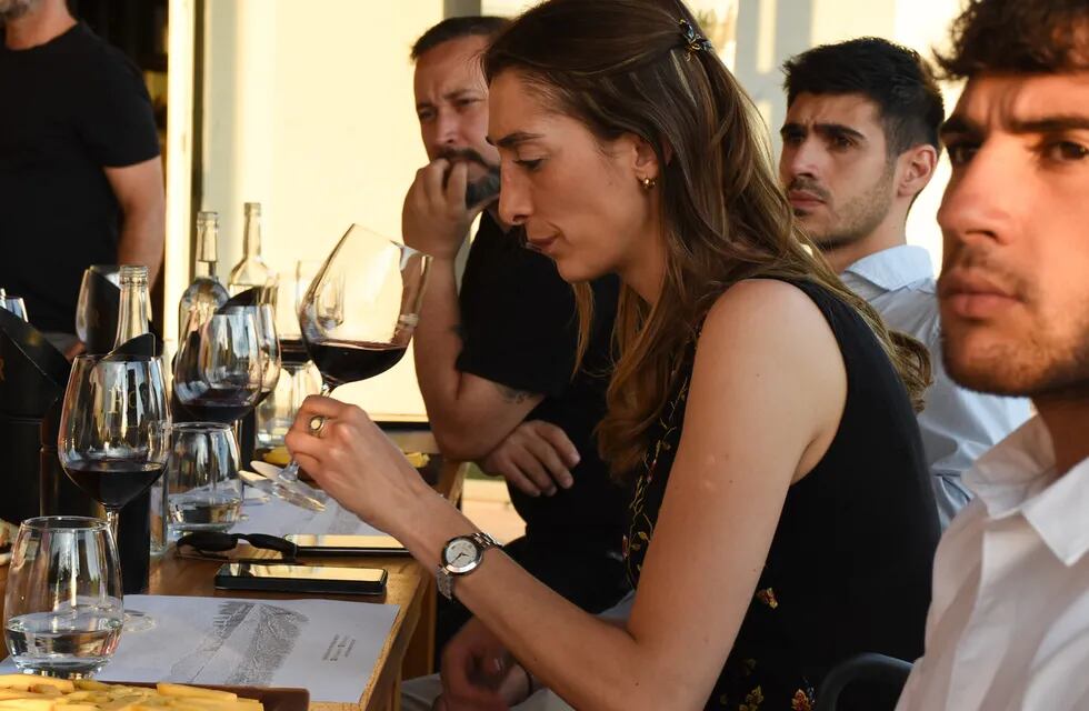 Cata de vino, cómo distinguir aspectos a primera vista. Foto: Mariana Villa / Los Andes