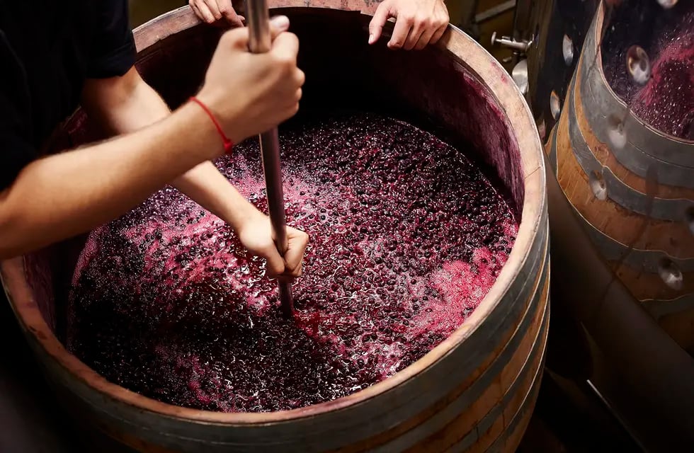 Fermentación de vino. Imagen ilustrativa.