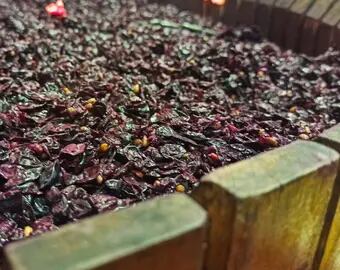Orujo Desechos orgánicos de la vitivinicultura