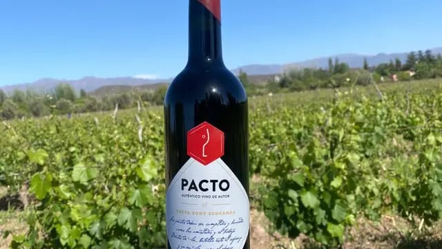 Pacto Wines