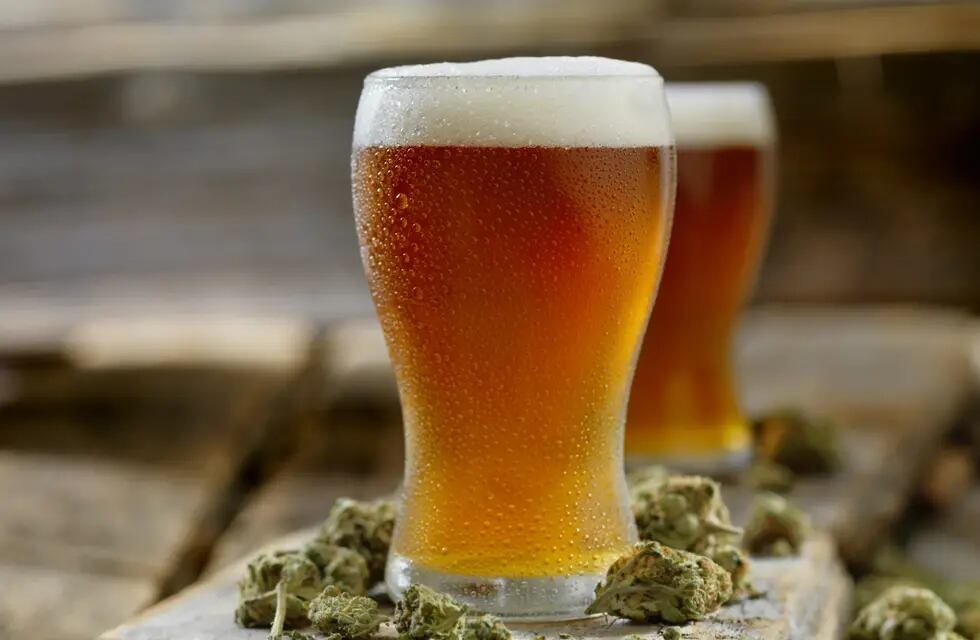 La producción de cerveza de cannabis va en aumento en Argentina y el mundo. - Imagen web