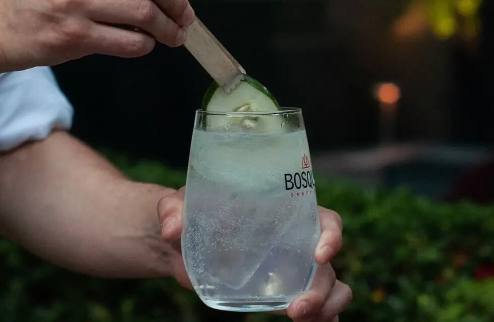 Los gines de Bosque fueron dos de los cinco reconocidos en los San Francisco World Spirits Competition. -Gentileza