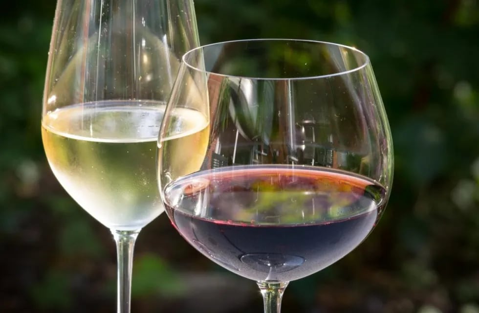 Tips indispensables para lavar una copa de cristal para vino