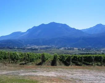 Chubut la vitivinicultura más austral