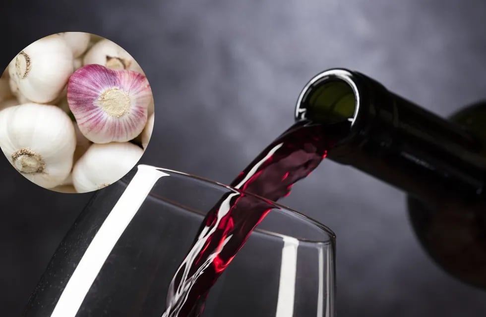 Vino y ajo: ayudan a prevenir afexiones cardiovasculares, varias son las contribuciones que el consumo moderado de vino aporta a nuestra salud.
