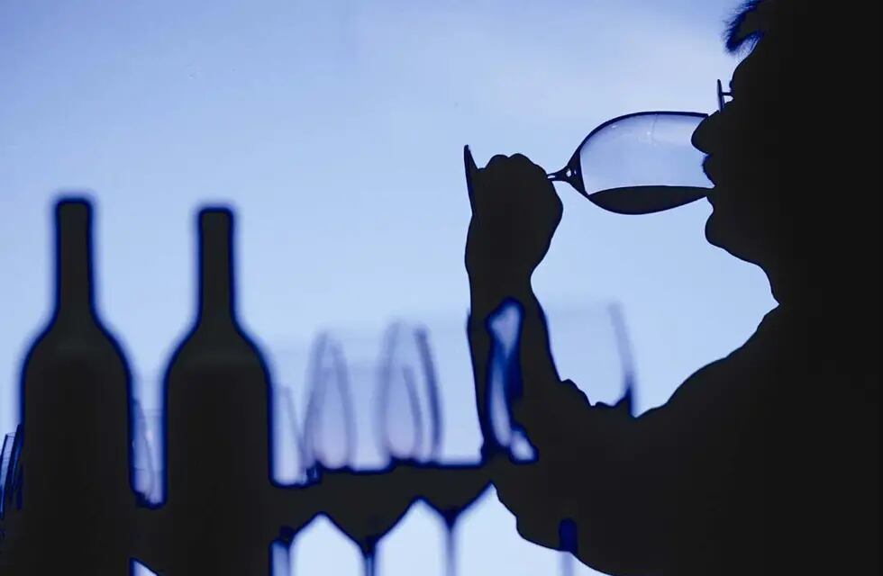Crece el consumo de vino español y levanta la caída de enero 2023.
