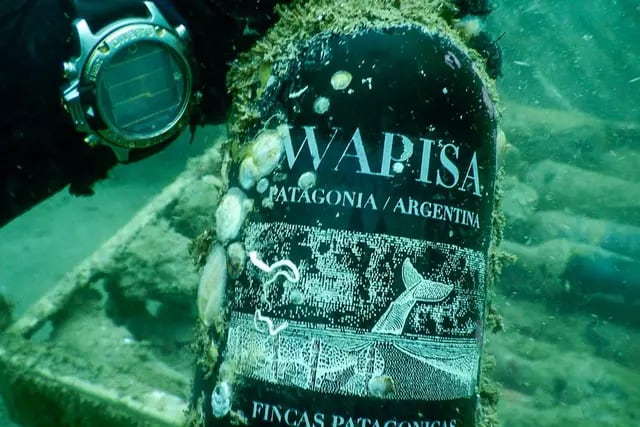 Wapisa Malbec. Unas 800 botellas fueron sumergidas en el mar de Rïo Negro.