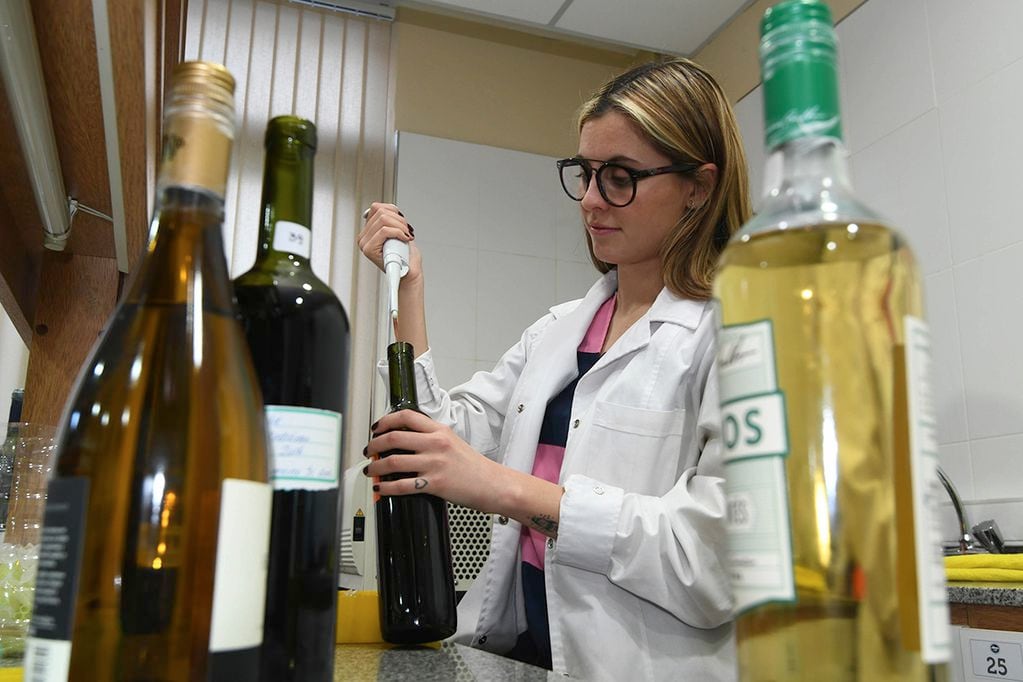 En Mendoza miden con un scanner el poder antioxidante del vino a través de la botella