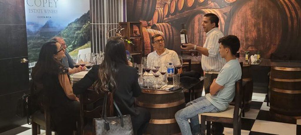 Bodegas de Mendoza llevaron adelante una cata de vinos en conjunto a organismos nacionales de Panamá - Foto: Gobierno de Mendoza