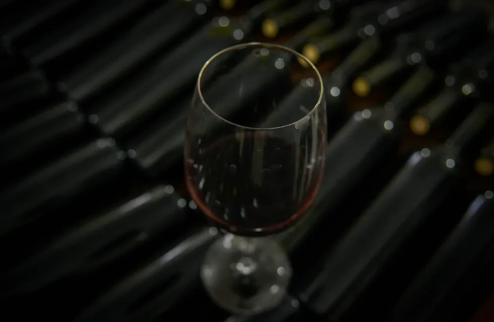 La lista de vinos por menos de mil pesos se achica cada vez más y hay que ser inteligentes para elegir la mejor opción. (Foto: Orlando Pelichotti)