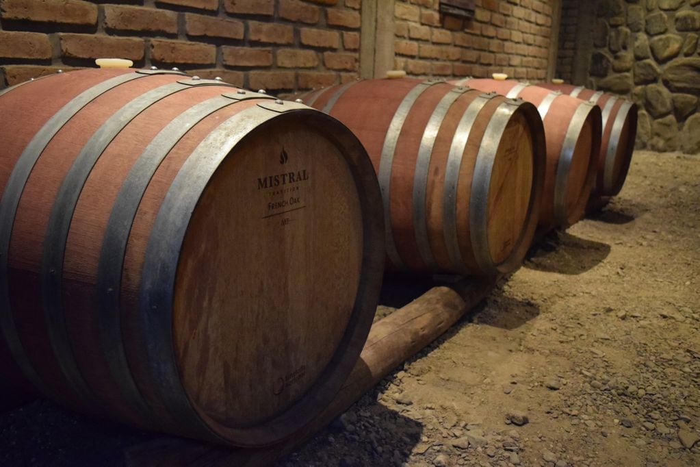 Ruta del vino Tucumán