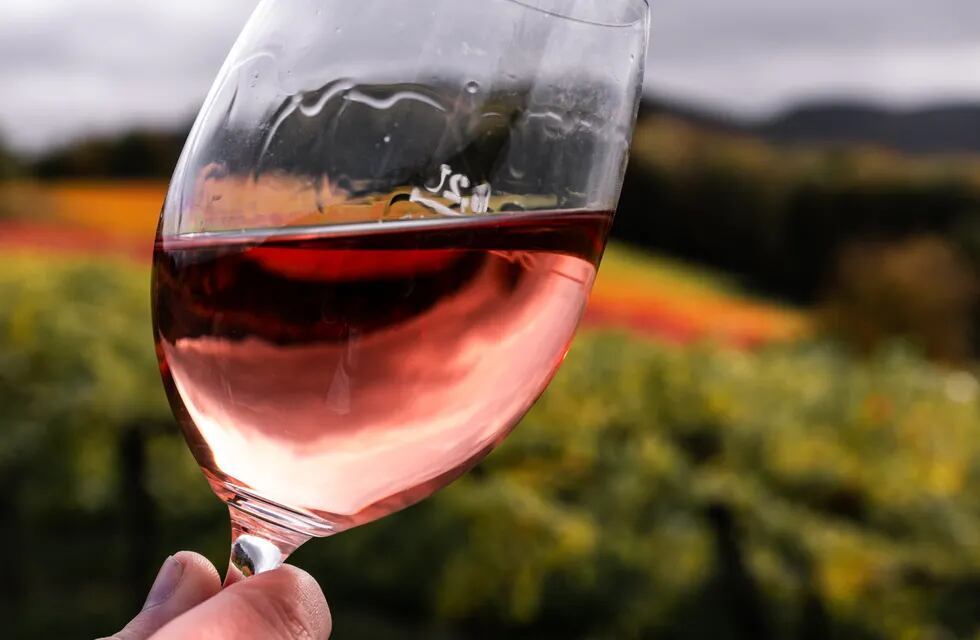 El vino rosado crece en el mercado interno y externo. El principal comprador pertenece a América Latina.