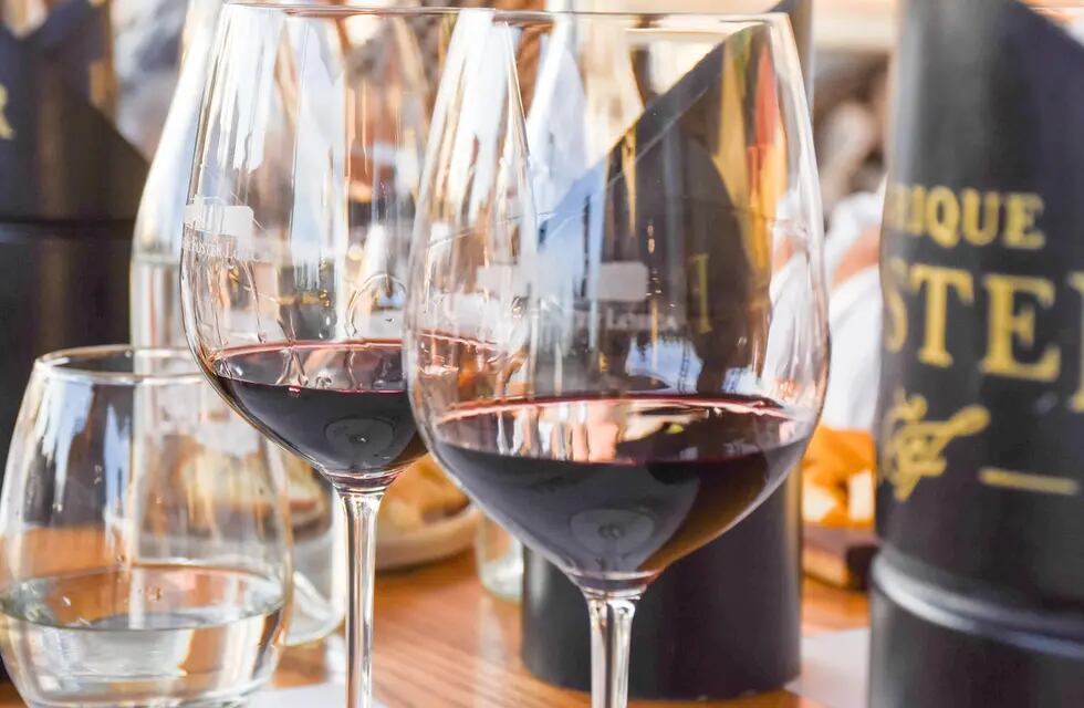 La ingesta moderada de vino tinto puede hasta llegar a ser un protector de la grasa abdominal. - Foto: Mariana Villa / Los Andes