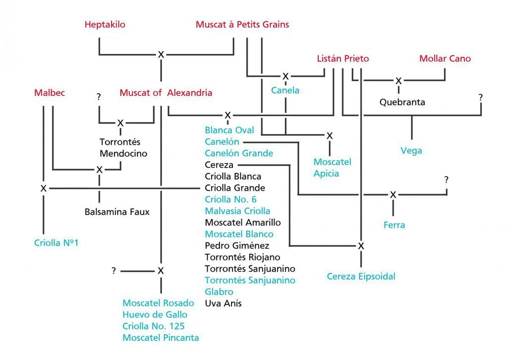 Mapa de variedades de criollas.