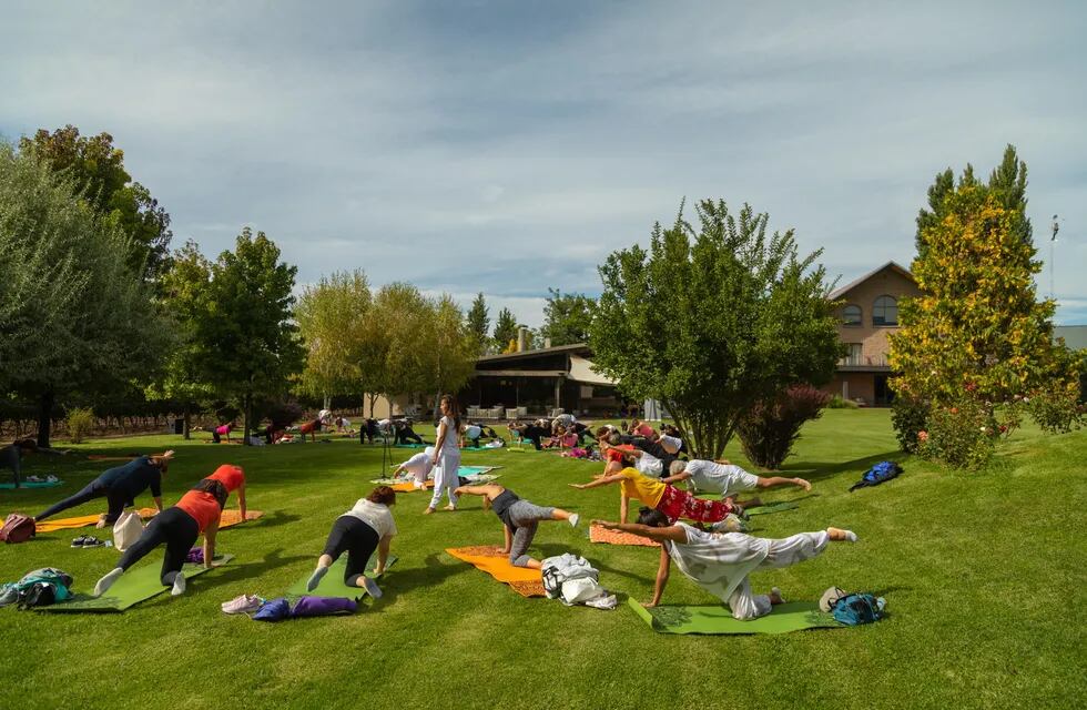 Valle de Uco, escenario del primer encuentro de Yoga por los Caminos del Vino
