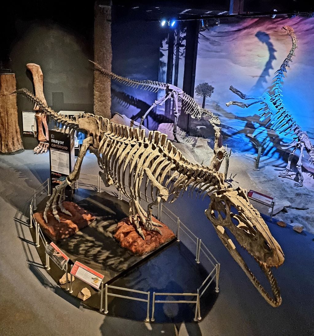 Museo Paleontológico Egidio Feruglio, Trelew, Chubut. Foto C. Pandolfi