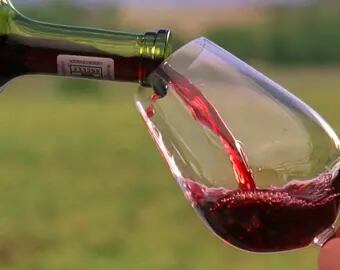 Los 10 vinos recomendados por James Suckling que son mendocinos y valen menos de 25 dólares