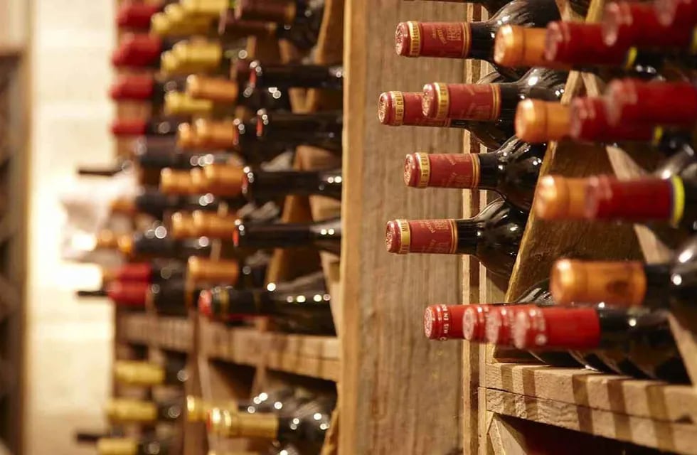 ¿Cómo saber si los vinos están aptos para la guarda?.