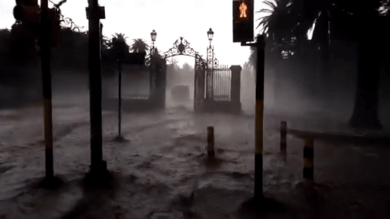 Fotos y videos: los mendocinos compartieron en redes cómo los afectó la fuerte tormenta de granizo