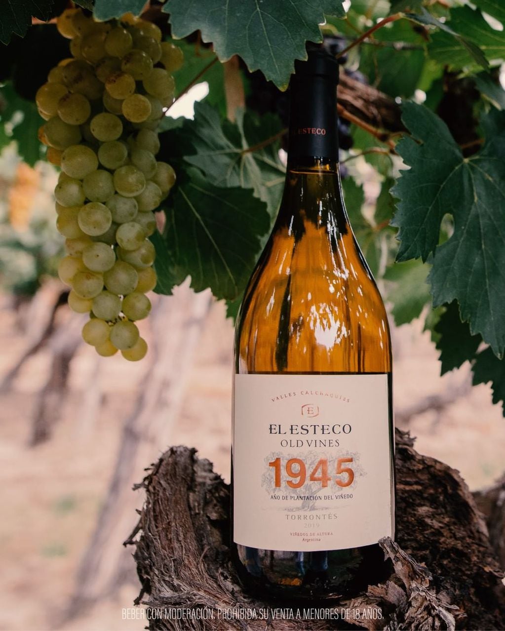 El Esteco Old Vines 1945, uno de los reconocidos con la plata.