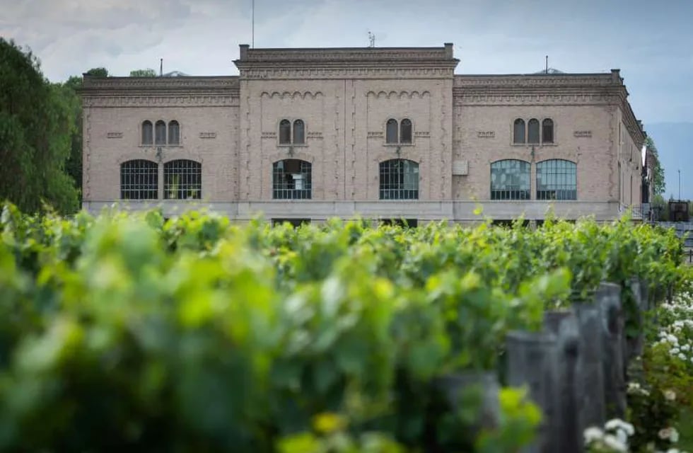 Trapiche y sus Malbecs son uno de los íconos de la vitivinicultura argentina. - Foto: Ignacio Blanco / Los Andes