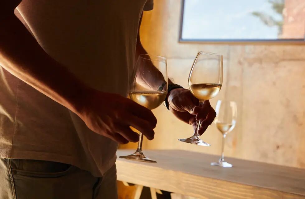 La temperatura justa de los vinos durante el calor es clave para degustar su sabor.