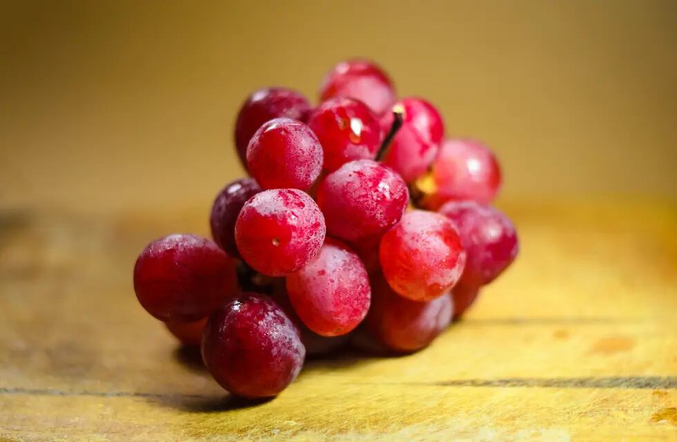 Los polifenoles son un grupo diverso de compuestos que se encuentran en una amplia variedad de plantas y está en el vino.