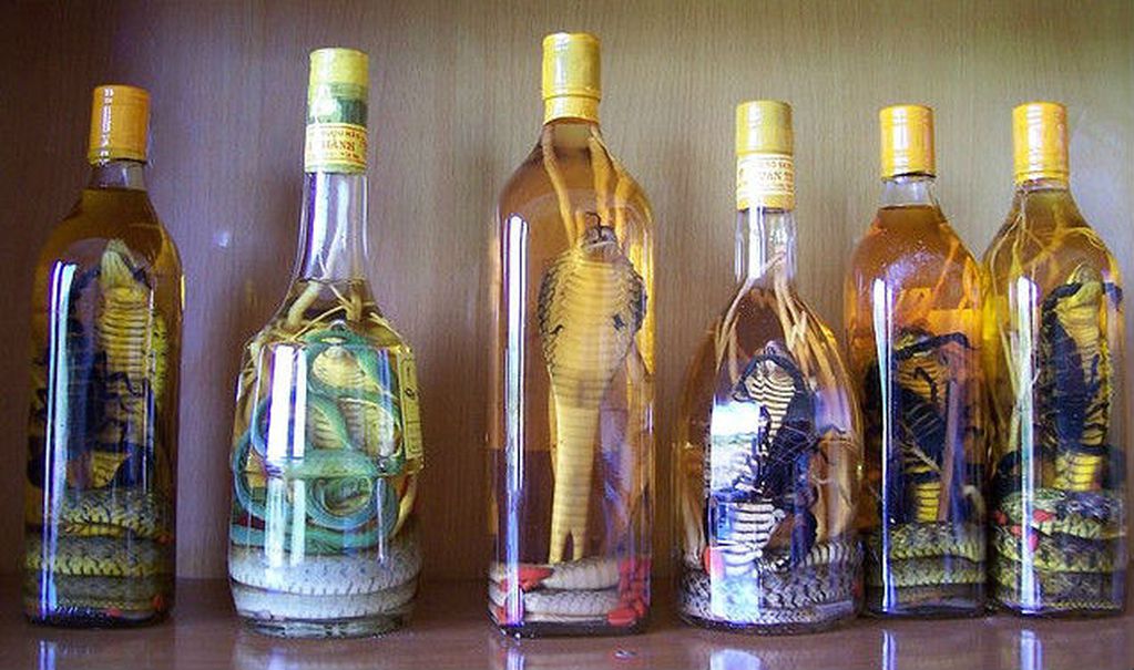 Las víboras se introducen en las botellas de mezcal como estrategia de marketing.