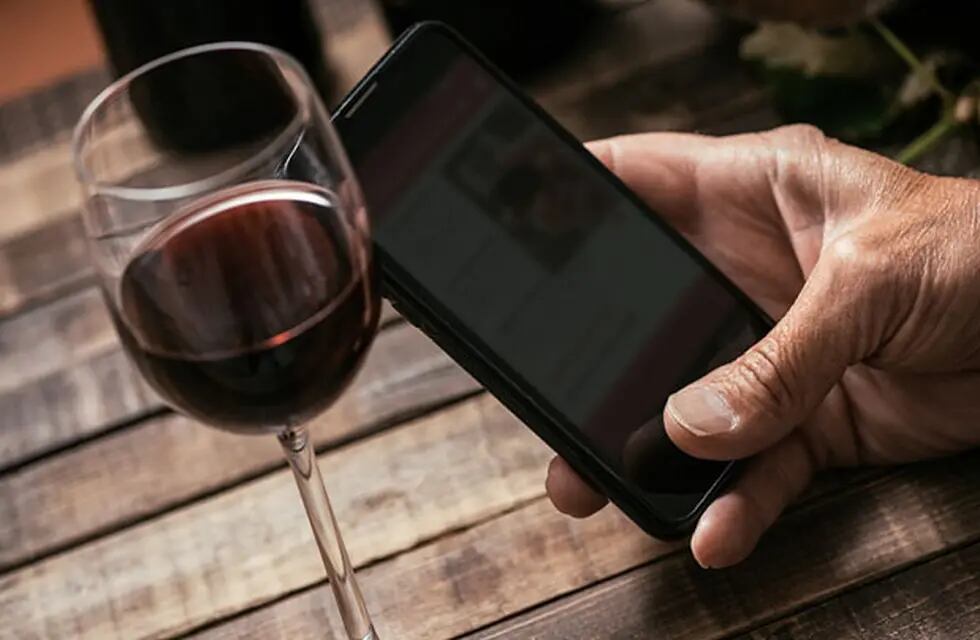 La nueva aplicación permite descubrir más sobre los vinos de San Juan. - Imagen web